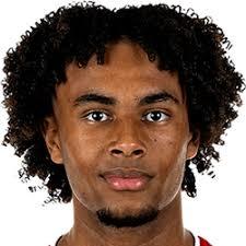 Joshua Zirkzee