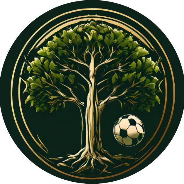 Alcachofas FC