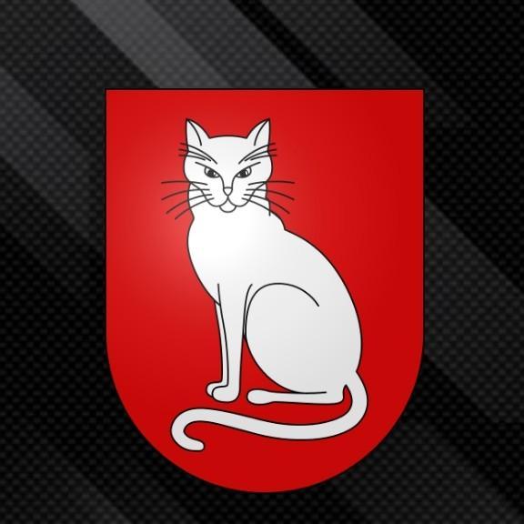 Gatos FC