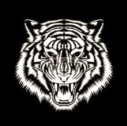White Tigers