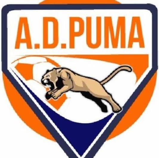 A. D PUMA