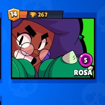 Rosa