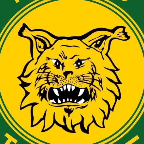 Ilves