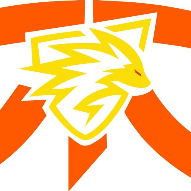 Fnatic Onic PH