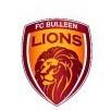 Bullen lions