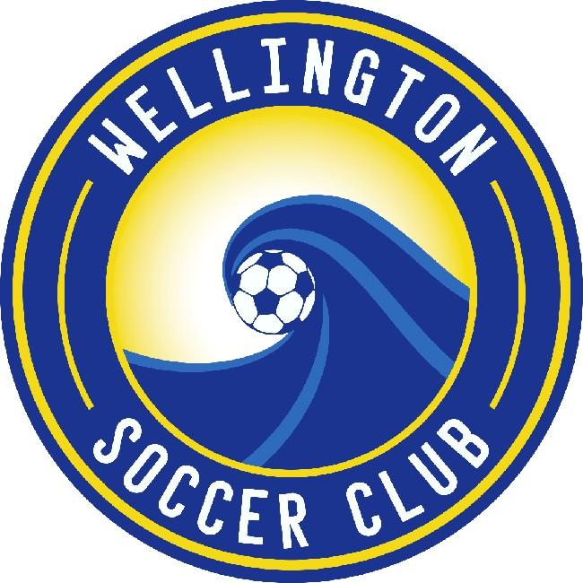 Wellington Wave