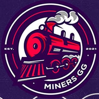 Netshoes Miners
