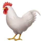 Galo Frito