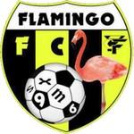 Flamingo F.C
