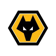WOLVES ALMACIL ACADEMY