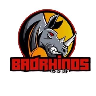 BADRHINO ESPORTS