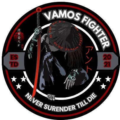 VAMOS FIGHTER