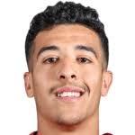 Mohamed Wael