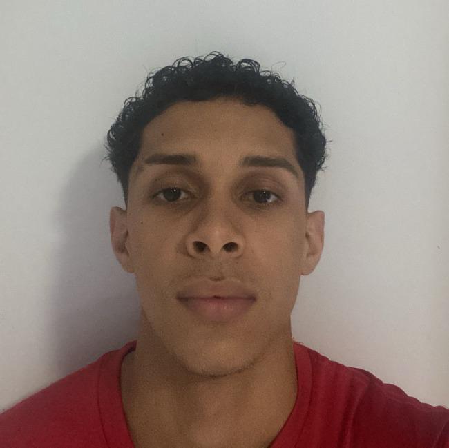 CARLOS ARTHUR RIBEIRO DOS SANTOS