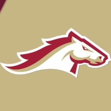 BIRMINGHAM STALLIONS