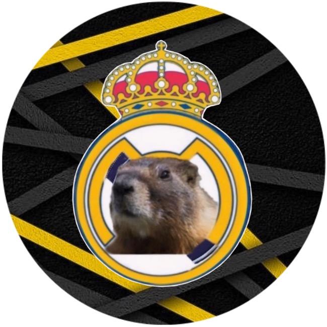 Real Marmotas