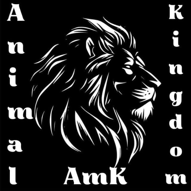 Animal Kingdom