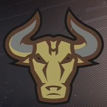 Bremolsk Bulls