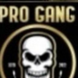 Pro Gang