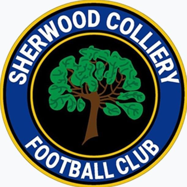 Sherwood Colliery