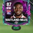 Maitland Niles