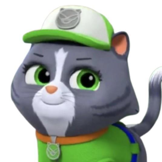 Cat Rocky