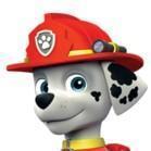 Marshall