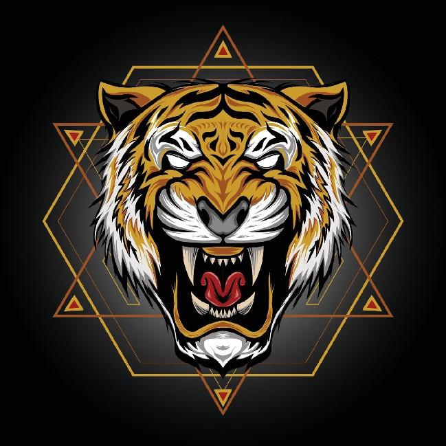 AK TIGERS