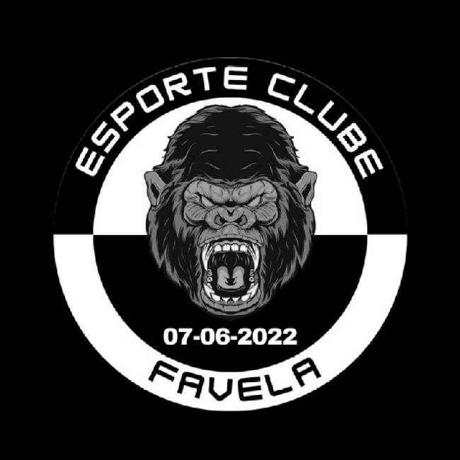 FAVELA FC