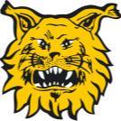 ILVES🥉