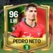 Pedro neto