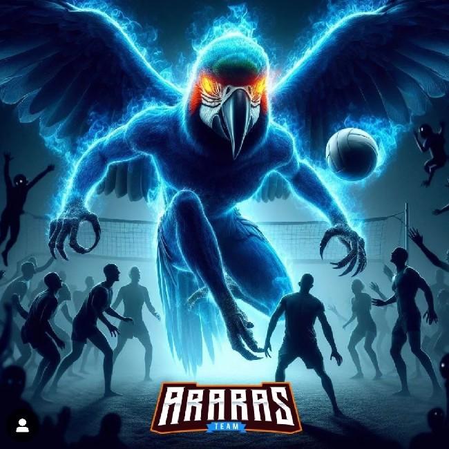 ARARAS TEAM