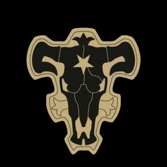 Toros Negros