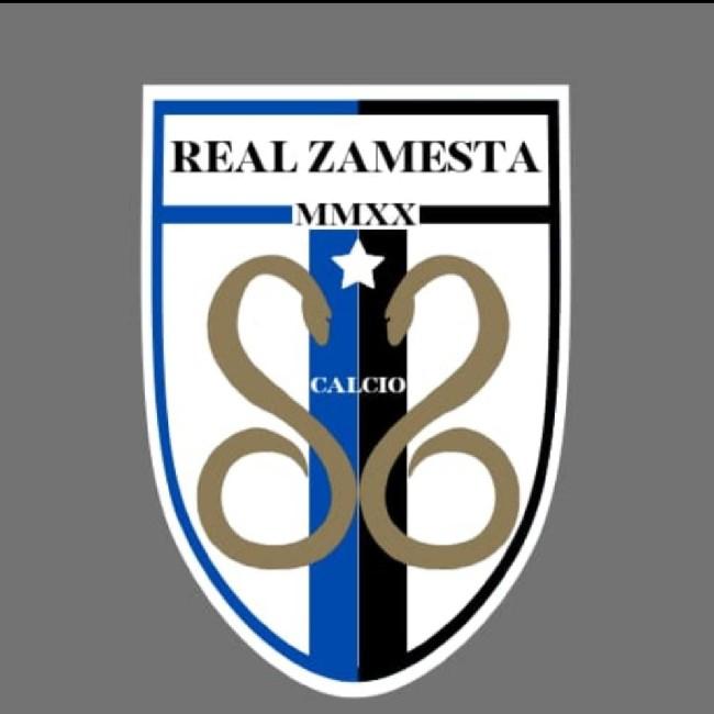 Real Zamesta