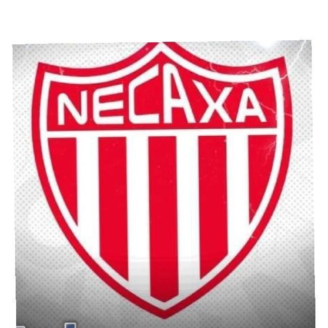 C.D. Necaxa