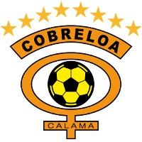 Club de Deportes Cobreloa