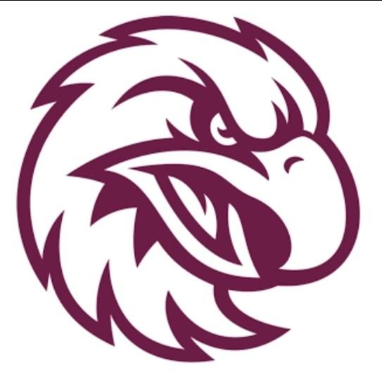 Manly sea Eagles