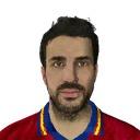 Cesc Fabregas