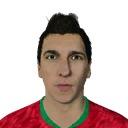 Mario Mandzucic