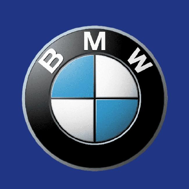 BMW F1 TEAM