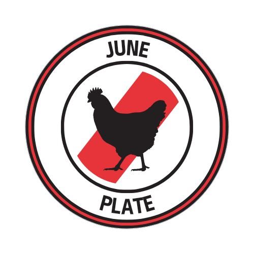 [MSL] JUNE PLATE