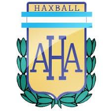 CAMPEONATO INVERNAL DE HAXBALL "LOS CHAVALES"