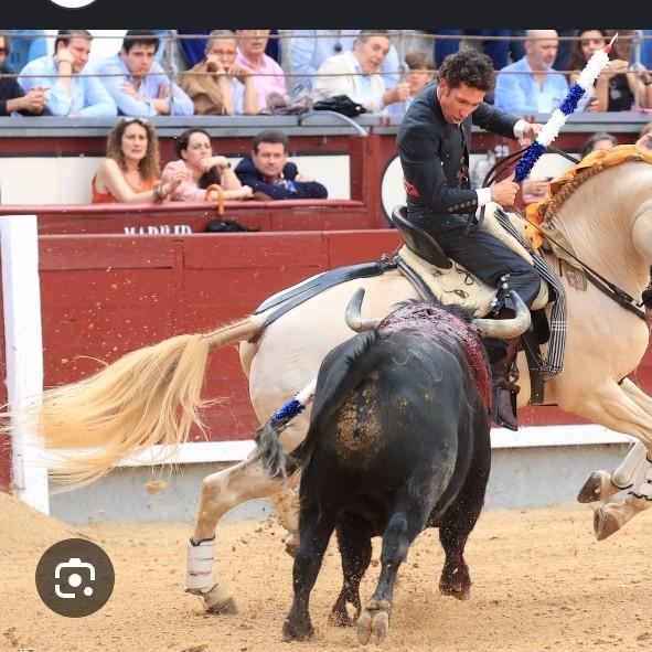 Liga peninsular e insular