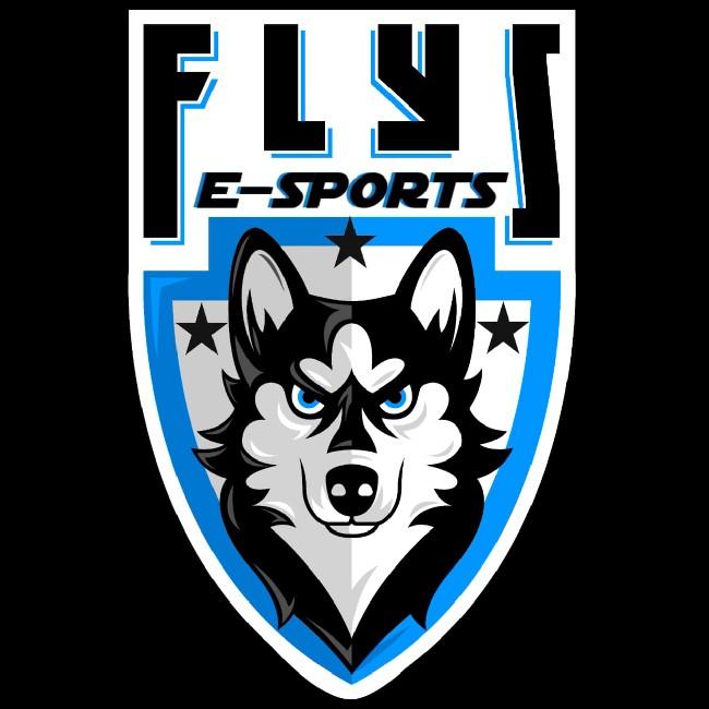 Flys ESports