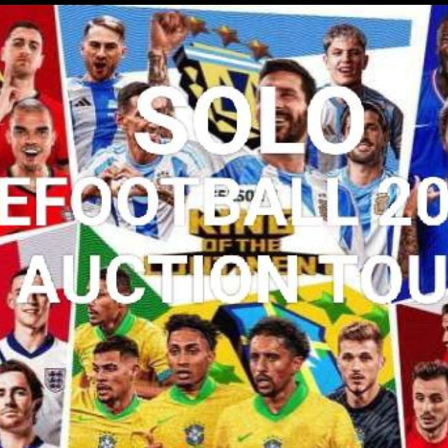 Solo Auction Tour