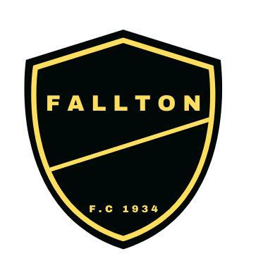 Dynamo Fallton