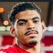 Amf Gibbs White