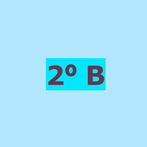 2⁰ B