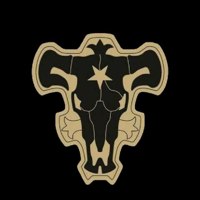Toros Negros
