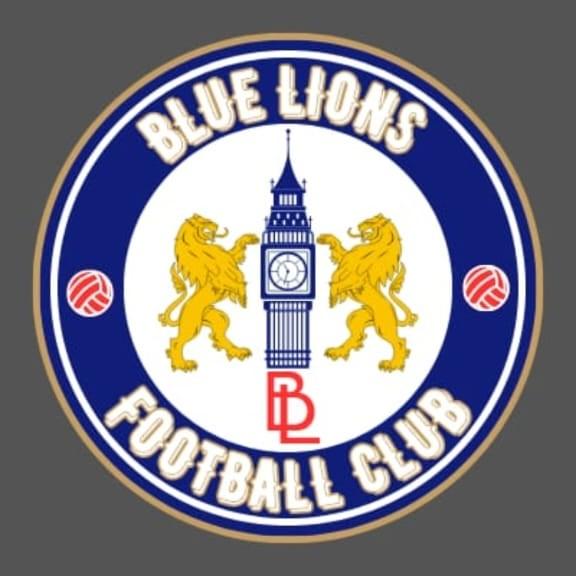 Blue Team